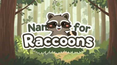 Names for Raccoons