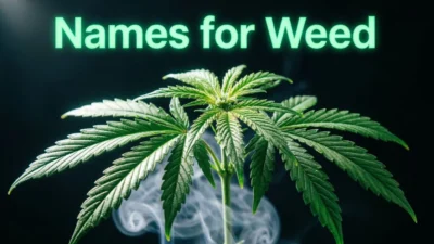 Names For Weed